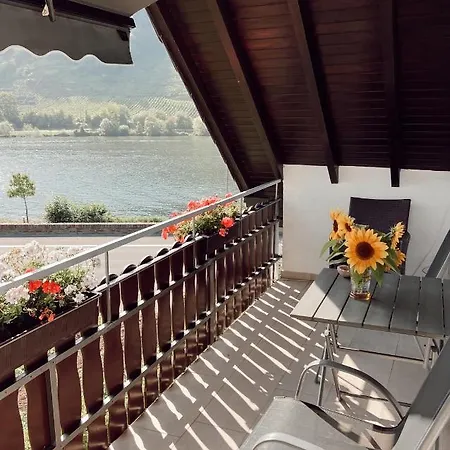 Moselflair Mit Direktem Blick Auf Mosel Und Weinberge *