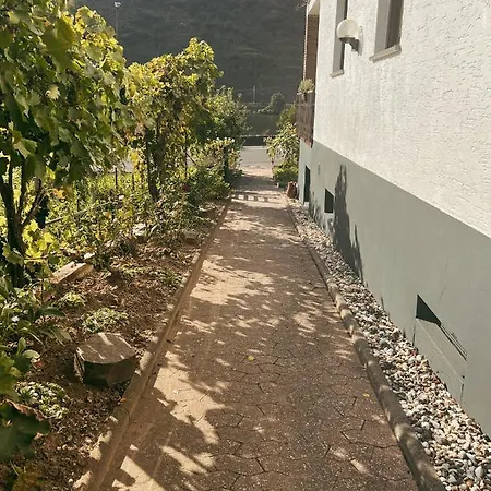 Moselflair Mit Direktem Blick Auf Mosel Und Weinberge Appartement Oberfell