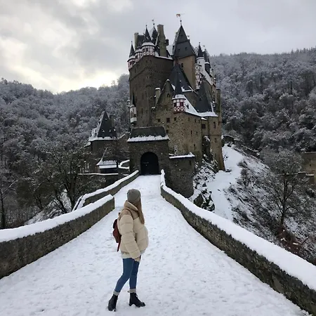 Moselflair Mit Direktem Blick Auf Mosel Und Weinberge Apartamento *