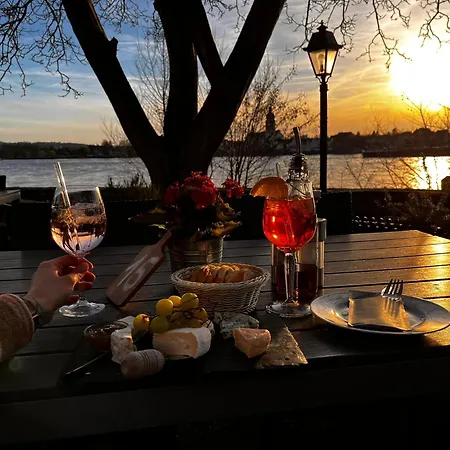 Moselflair Mit Direktem Blick Auf Mosel Und Weinberge Appartement *