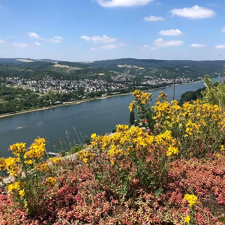 Apartamento Moselflair Mit Direktem Blick Auf Mosel Und Weinberge