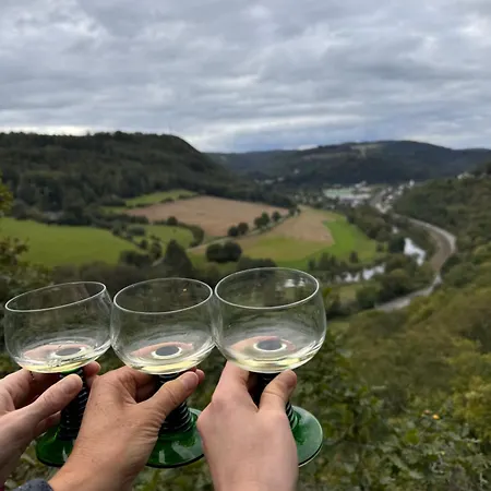 Moselflair Mit Direktem Blick Auf Mosel Und Weinberge Appartement Oberfell