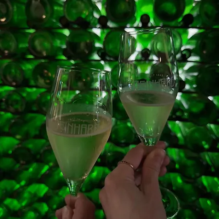 Moselflair Mit Direktem Blick Auf Mosel Und Weinberge Oberfell