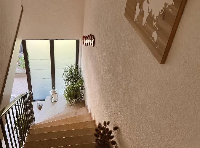 Moselflair Mit Direktem Blick Auf Mosel Und Weinberge