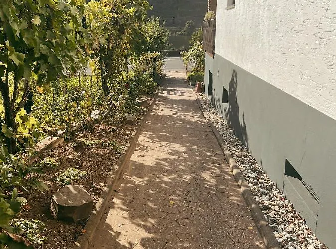 Moselflair Mit Direktem Blick Auf Mosel Und Weinberge Lägenhet Oberfell