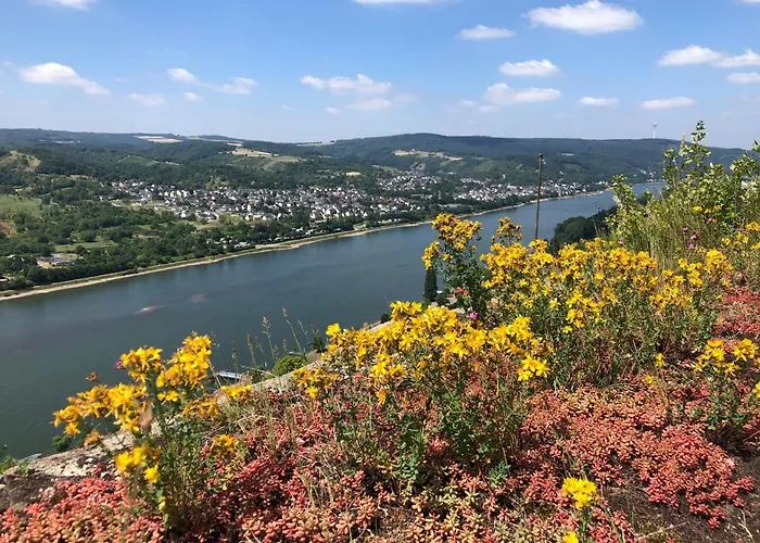Lägenhet Moselflair Mit Direktem Blick Auf Mosel Und Weinberge