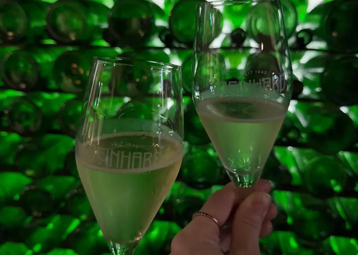 Moselflair Mit Direktem Blick Auf Mosel Und Weinberge Oberfell